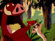 SSS Timon & Pumbaa28