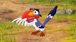 Zazu informs Simba that he gave his tribute wrong.