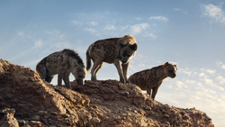 Lionking2019-animationscreencaps.com-5559