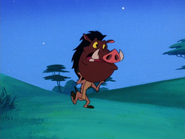 SD Pumbaa10