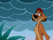 SHO Timon30