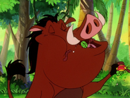 TIL Pumbaa & grubs