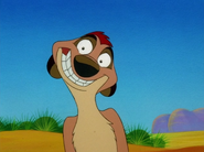 BOITO Timon3