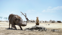 Lionking2019-animationscreencaps.com-6259