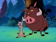 SC Timon & Pumbaa27