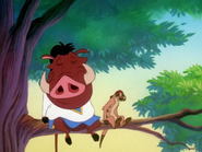 SYD Timon & Pumbaa17