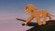 Lion-king2-disneyscreencaps.com-1103