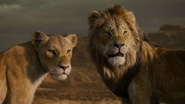 Lionking2019-animationscreencaps.com-10760