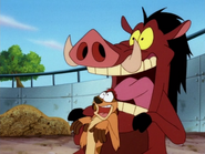 TFTZ Timon & Pumbaa49