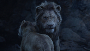 Lionking2019-animationscreencaps.com-11174