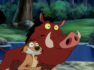 Hoodwinked Timon & Pumbaa10