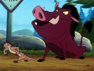 LB Timon & Pumbaa64