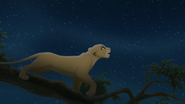 Lion-king2-disneyscreencaps.com-7423