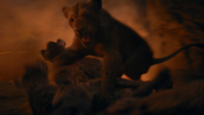 Lionking2019-animationscreencaps.com-11658