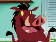 DWTN Pumbaa7