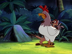 EBW Timon & rooster