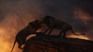 Lionking2019-animationscreencaps.com-11550