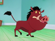 DWTN Pumbaa5