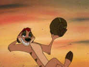 IDB Timon2