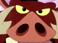 FFFF Pumbaa13