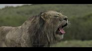 MPC Film's VFX breakdown of The Lion King