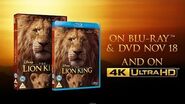 The Lion King - On DVD, Blu-Ray & 4K Ultra HD On November 18