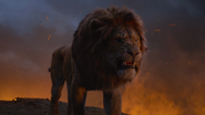 Lionking2019-animationscreencaps.com-11558