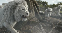 Mufasa-animationscreencaps.com-5946