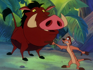 TLOTJ Timon & Pumbaa5