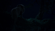 Lionking2019-animationscreencaps.com-8365