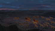 Lion-king2-disneyscreencaps.com-8497