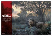 TOMS Simba.png (1.28 MB)