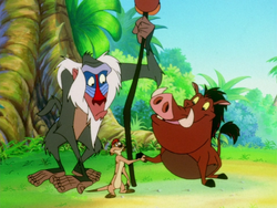 Timoncchio Timon Pumbaa & Rafiki4