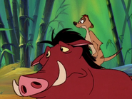 DBTC Timon & Pumbaa22