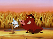 KBMF Timon & Pumbaa7