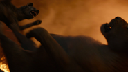 Lionking2019-animationscreencaps.com-11941