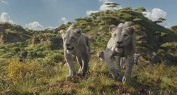 Mufasa-animationscreencaps.com-13115