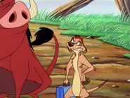 JS Timon & Pumbaa8