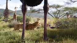 Lionking2019-animationscreencaps.com-2524