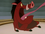 SSM Pumbaa33