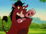 DCC Pumbaa11