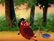 SSS Timon & Pumbaa23