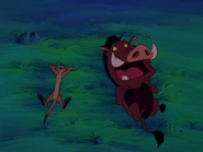 TSIC Timon & Pumbaa3