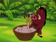 TBT Timon Pumbaa & grubs4
