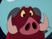 W Pumbaa23