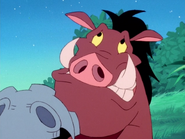 MMMF Pumbaa10