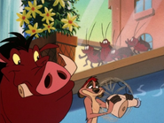 APAO Timon Pumbaa & roach13