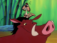 DBTC Timon & Pumbaa20