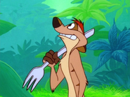 AN Timon