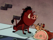 DCC Timon & Pumbaa21